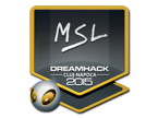 MSL | Cologne 2016 image